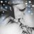 Kelly Schnorenberg's profile image