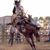 Brent Futch's profile image
