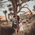 Rosie Melia Blanco's profile image