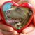Andrea Harshbarger's profile image