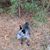 Janet Spence Brown's profile image