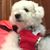 Carolin Rojas's profile image
