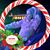 Mary Witt Pauloni's profile image