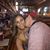 Cassie DeVos's profile image
