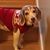 Heidi Holst's profile image