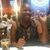 Lenee Thomas's profile image