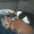 Ronnie Poling's profile image