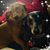 Tina Marie McCully's profile image