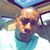 Shawn Barnes's profile image
