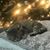 Heidi Simpson Hemlepp's profile image