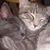 Tammy Bradley Love's profile image