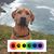 Glynis Murray's profile image