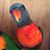 Michael Perkel's profile image