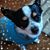 Susan Sahler's profile image