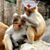 Catharine Roberts Hoehn's profile image