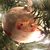 Anita Jones's profile image