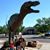 Lauriann Carrillo's profile image