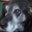 Gary Morrill's profile image