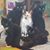 Lisa Anne Edmunds's profile image