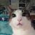 Missy Kisner's profile image
