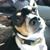 Michelle Warren Fausett's profile image