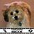 Sharon Edmunds's profile image