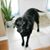 Ellen Brod's profile image