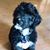 Lynda Latzko Brasser's profile image