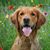 Christine Dupont's profile image