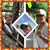 Kim Fix's profile image