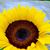 Melissa Rivera's profile image