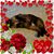 Kathy Smith's profile image