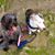 Glenda Lucas's profile image