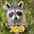 Kathleen Walmer Goecks's profile image