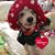 Tami Beecher's profile image