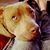 Ann Lynn's profile image