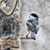 Yvonne Schultz Putz's profile image