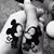 Mayra Figueroa's profile image