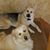 Jill Jacobson's profile image