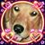 Joan Scott-Lange's profile image
