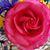 Patricia Lynn's profile image