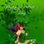 Sherry Gail Smith's profile image