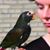 Dushka Loves-Bass's profile image