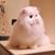 Manuel Rivero Reveron's profile image