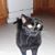 Darrell Sellers's profile image