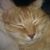 Sam Guthrie's profile image