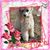 Sandy Williams's profile image