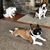 Tracy Schairer McBride's profile image