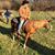 Jerry Jackson's profile image