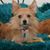 Marsha Lamb-Shoemake's profile image